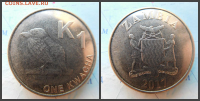 Замбия 1 квача, 2017 - 36