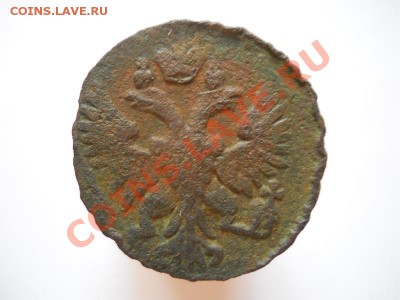 Денга 1750 Года. Окончание в 21.40, 10.09.11. - 79.JPG