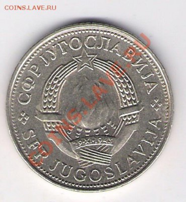5 динар Югославия 1981, до 10.09.2011 22-00 мск. - сканирование0012