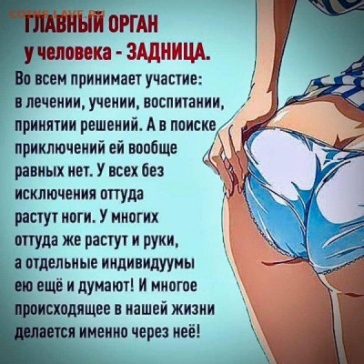 юмор - FgEjv7jz4L8
