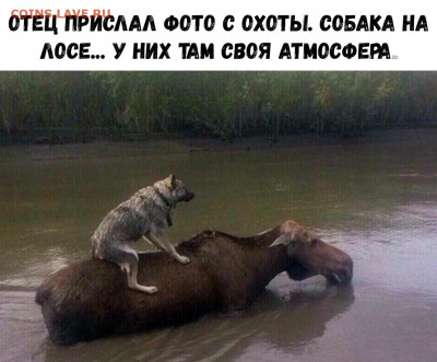 юмор - Tt5_t9FqoTE