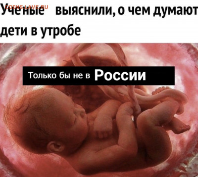 Дети говорят ... - DGKHEGtYep8
