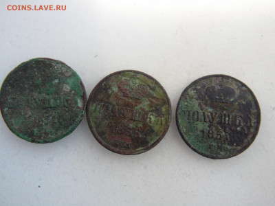 полушки 1851 56 и 57гг  до 01.06 2020 - SAM_1477.JPG