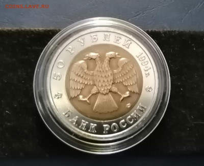 Красная книга 94 г слепышь до 4 июня 22-00 - IMG_20200515_195408