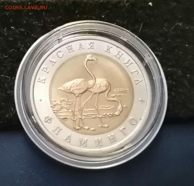 красная книга ФЛАМИНГО 94г до 4 июня 22-00 - IMG_20200515_200126