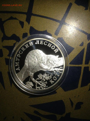 1 руб. Красная книга Амурский лесной Кот, 2004 до 05.06 - FK8S3-pDJfc