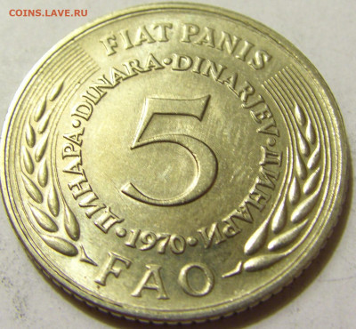 5 динар 1970 ФАО Югославия №1 06.06.2020 22:00 МСК - CIMG8945.JPG