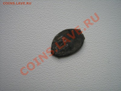 Откопалась чешуйка - IMG_0100.JPG