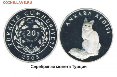 Кошки на монетах - CtGB-2Mld3Q
