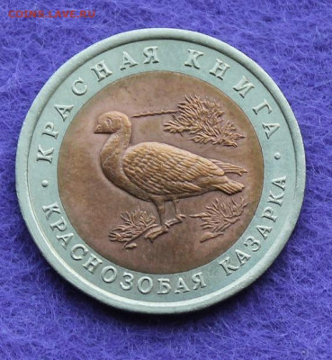 10 рублей 1992 год.Краснозобая Казарка - IMG_0247.JPG