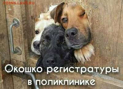 юмор - i (5)
