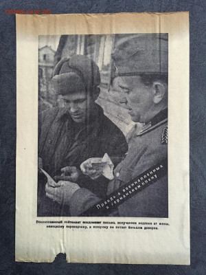 Агитационная листовка Германии (письмо). До 22:00 07.06.20 - 2F2F27DE-D507-4049-BC5A-5AC7282C6611