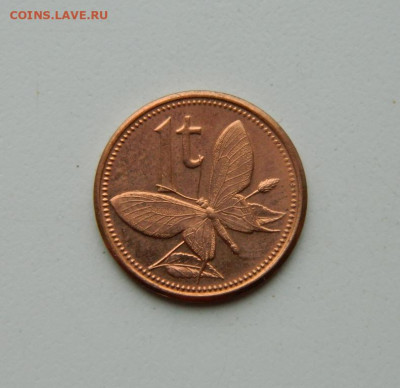 Папуа-Новая Гвинея 1 тойя 2004 г(Фауна) до 08.06.20 - DSCN9959.JPG