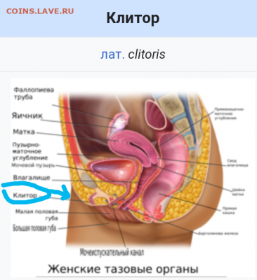 игра "Трансформация слов 2.0" Перезагрузка. - IMG_20200602_105652