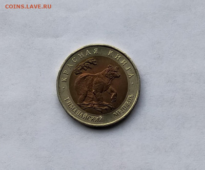 50 р Красная книга Гималайский медведь - IMG_20200602_164133~2[1]