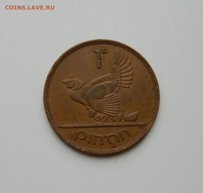Ирландия 1 пенни 1963 г. (Фауна) крупная. до 08.06.20 - DSCN9984.JPG