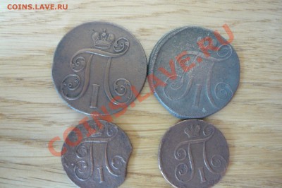 2 коп. 1 коп Павел-I - P1020010