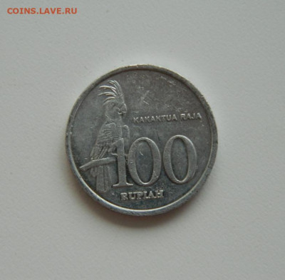 Индонезия 100 рупий 1999 г. (Фауна). до 10.06.20 - DSCN9978.JPG