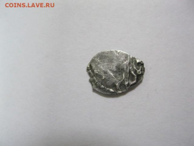 Три монеты-чешуйки на опознание и оценку. - IMG_5505.JPG