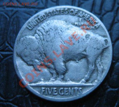 США 5 центов 1934г (Буффало) до 11.09.11 - buffolo_12