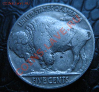 США 5 центов 1936г (Буффало) до 11.09.11 22:00 - buffolo_32