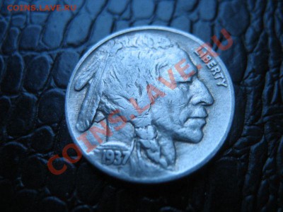 США 5 центов 1937г (Буффало) до 11.09.11 22:00 - buffolo_41