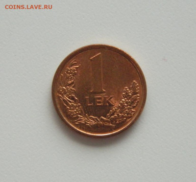 Албания 1 лек 2013 г. (Фауна) до 10.06.20 - DSCN0075.JPG
