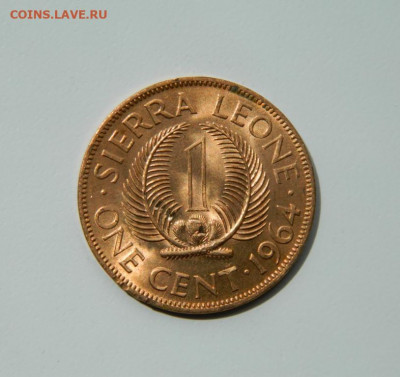 Сьерра-Леоне 1 цент 1964 г. до 11.06.20 - DSCN9880.JPG
