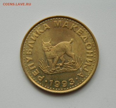 Македония 5 денаров 1993 г. (Фауна). до 11.06.20 - DSCN9926.JPG
