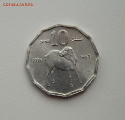 Сомали 10 центов 1976 г. (Фауна)без обращения  до 11.06.20 - DSCN9914.JPG