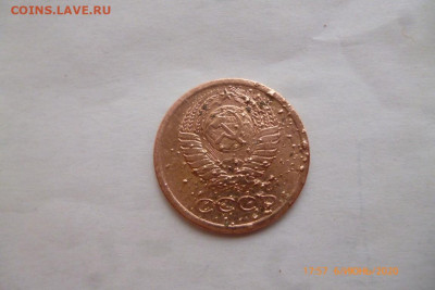 1коп 1964г - P1080928 (Medium).JPG