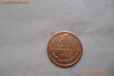 1коп 1964г - P1080926 (Medium).JPG