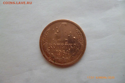 1коп 1964г - P1080927 (Medium).JPG