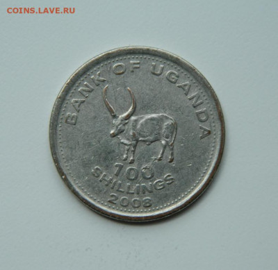 Уганда 100 шиллингов 2008 г.(Фауна) до 11.06.20 - DSCN9893.JPG