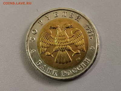 Красная книга: 50р 1993г. Туркменский зублефар, до 14.06 - СЧ Зублефар-2