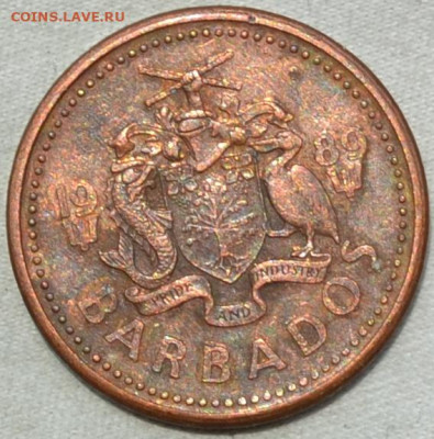 Барбадос 1 цент 1989. 11. 06. 2020 в 22 - 00. - DSC_0244.JPG