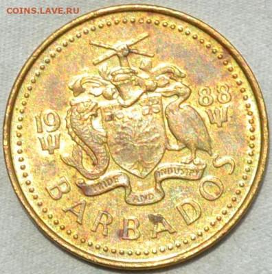 Барбадос 5 центов 1988. 11. 06. 2020 в 22 - 00. - DSC_0246.JPG