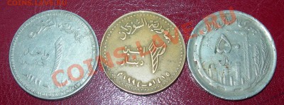 Монеты с арабской вязью. Подскажите страну. - DSCN7267.JPG