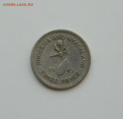 Родезия и Ньясаленд 3 пенса 1963 г. до 15.06.20 - DSCN9942.JPG