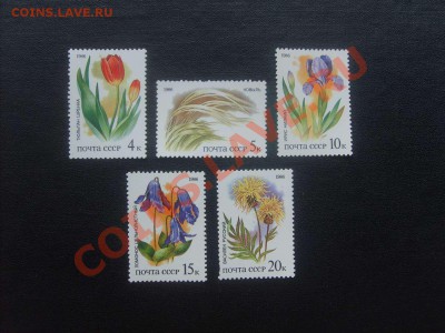 15 руб.30. - S5000004_thumb