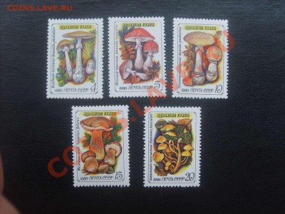 15 руб.28. - S5000002_thumb