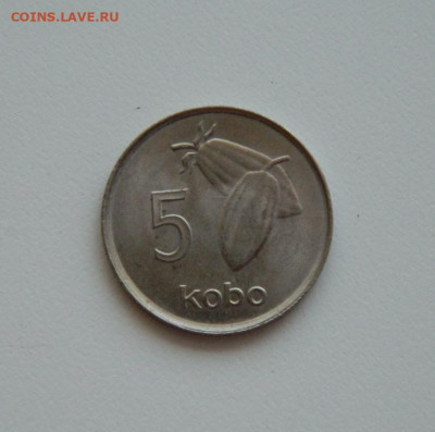 Нигерия 5 кобо 1976 г. до 18.06.20 - DSCN9965.JPG