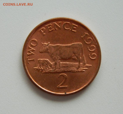 Гернси 2 пенса 1999 г. (Фауна) до 18.06.20 - DSCN0071.JPG
