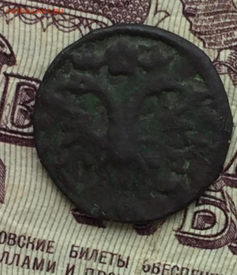 Полушка 1719 - 8C1E9576-8849-4E2E-8B39-263717128AC2