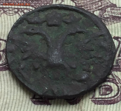 Полушка 1719 - 09040A2E-9FAF-40B4-8F09-A1527D329370