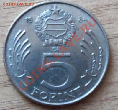 5 форинтов Венгрия до 12.09.11 в 22.00 - 101_1082