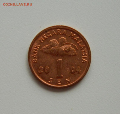 Малайзия 1 сен 2004 г. до 18.06.20 - DSCN0155.JPG