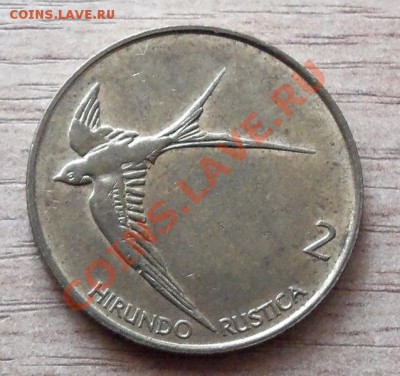 2 толара Словения ( стриж ) до 12.09.11 в 22.00 - 101_1075