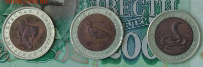 Набор "Красная книга" - S2820006.JPG