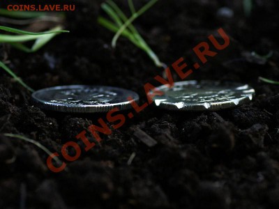 Кто и для чего делали насечки на монетах? - 1